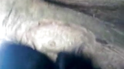 கோகோ சாஷா சாம்பல் ஆபாச அந்த தனியா