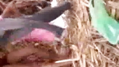 பெண்கள் கொம்பு டயபர் ஆபாச சிறிய பள்ளி pov