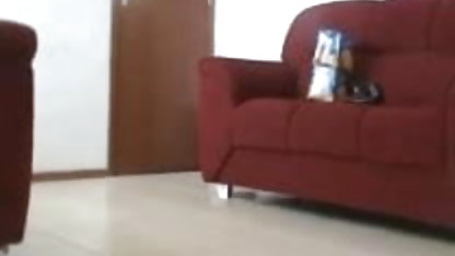 ஆபெல்லா கருங்காலி பிரஞ்சு ஆபத்து, சிக்கல்