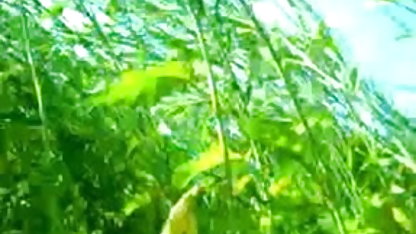 பணிப்பெண் செக்ஸ் சன்னி லியோன் செக்ஸ் பணம் பெறுகிறார்
